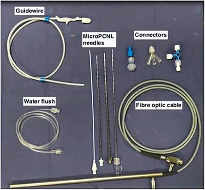 Tips and Tricks to Improve Ergonomics, Efficacy, Versatility, and Overcome Limitations of Micro Percutaneous Nephrolithotomy